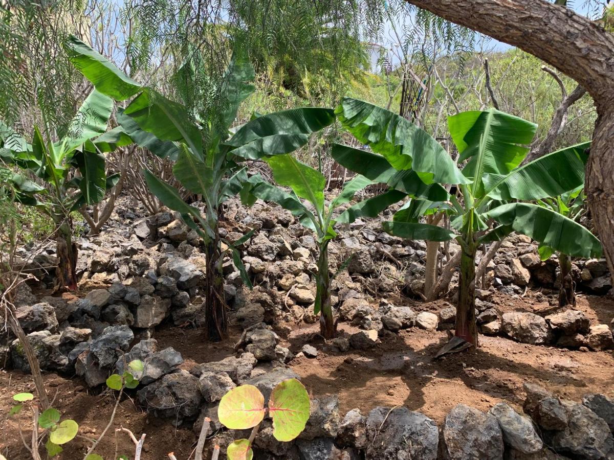 Bella Vista - Finca Tabaiba إيكود ذي لوس فينوس المظهر الخارجي الصورة
